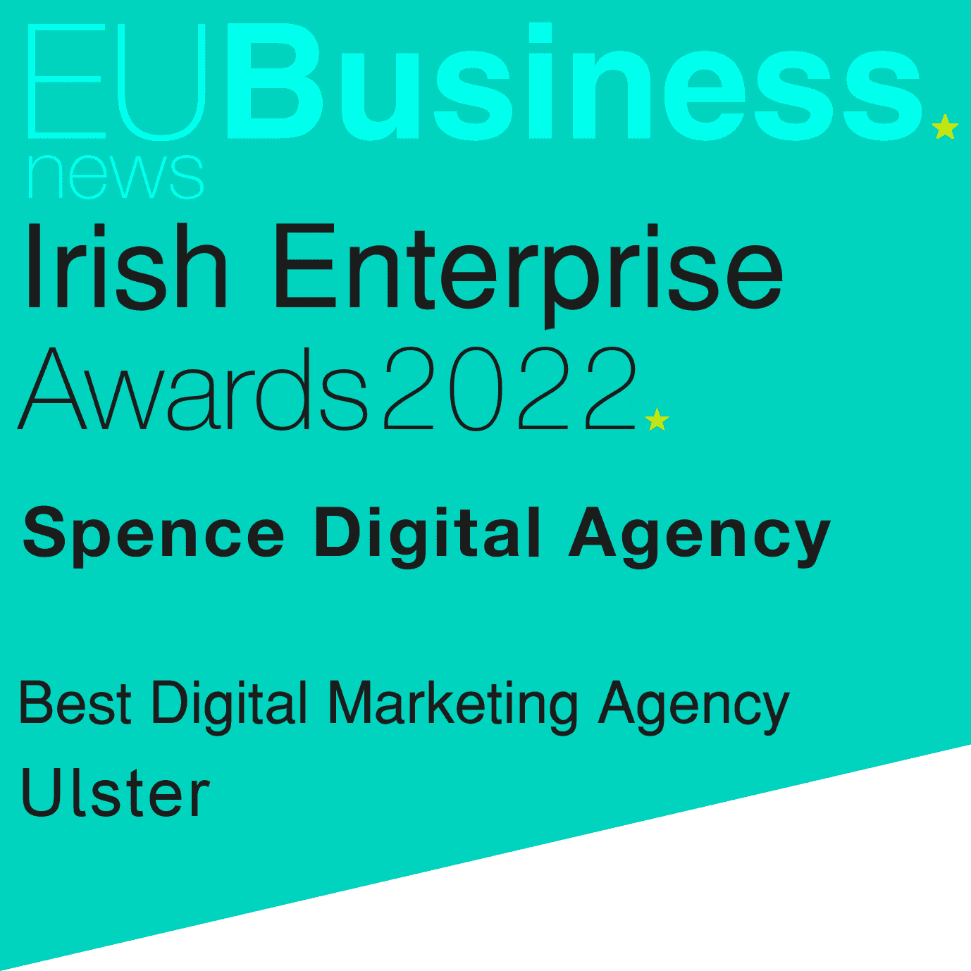Jan21392-2022-Irish-Enterprise-Awards-Winners-Logo-(1)
